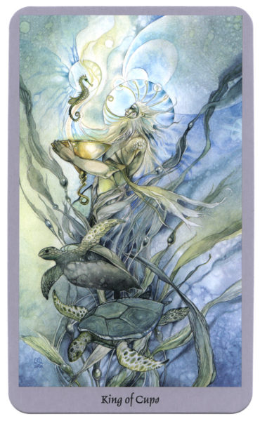 tarotkaart kelken koning shadowscapes tarot