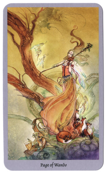 Shadowscapes Tarotkaart Staven Page