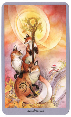 Shadowscapes tarotkaart staven aas met vossenkracht