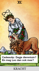 tarot cadeau 11 kracht