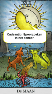 tarot cadeautip de maan