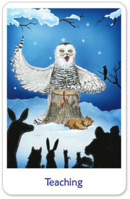 Winterse Tarot Hogepriester