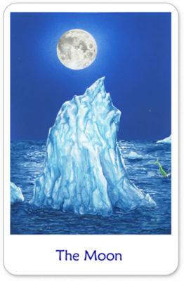 Winterse Tarot De Maan
