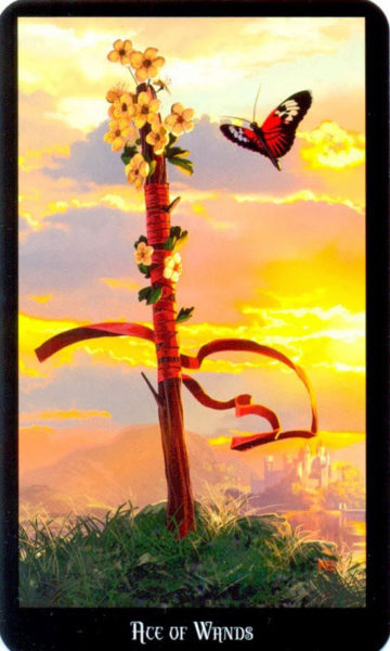 evans tarotkaart Staven Aas