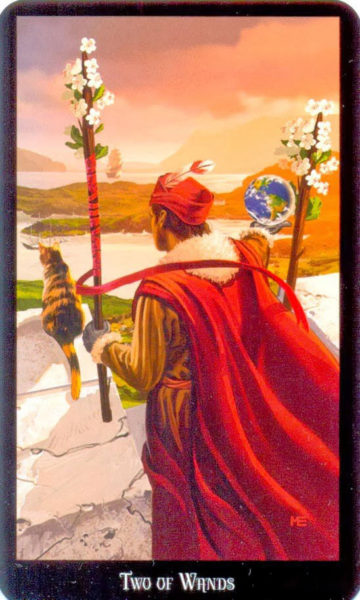 Evans Tarotkaart Staven Twee