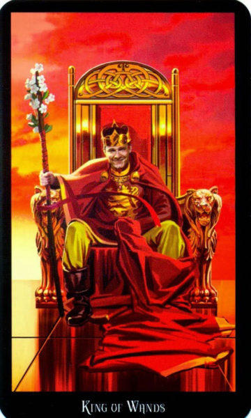 evans tarotkaart staven koning